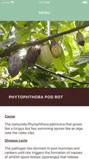 bougainville cocoa problems & solutions and troubleshooting guide - 4