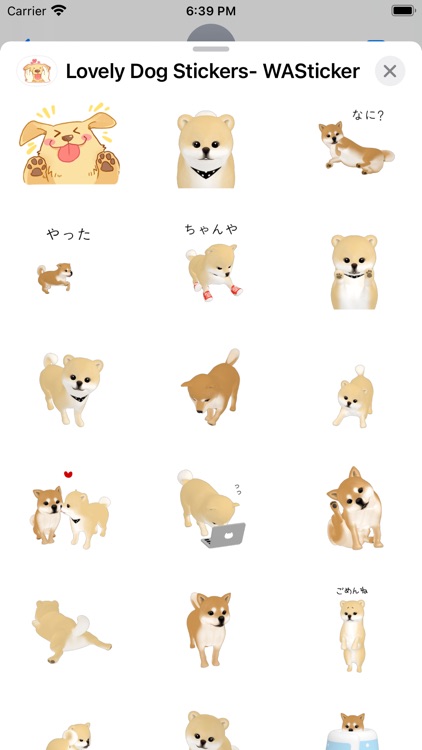 Lovely Dog Stickers- WASticker screenshot-4