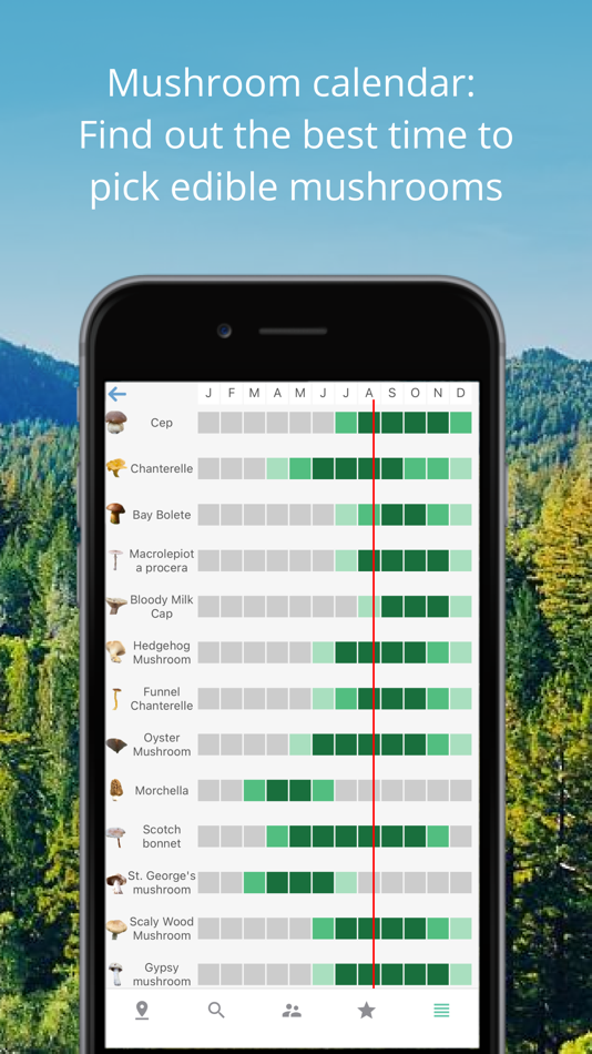 #6. Mushroom Identificator (iOS) 由: AnnapurnApp Technologies UG haftungsbeschrankt