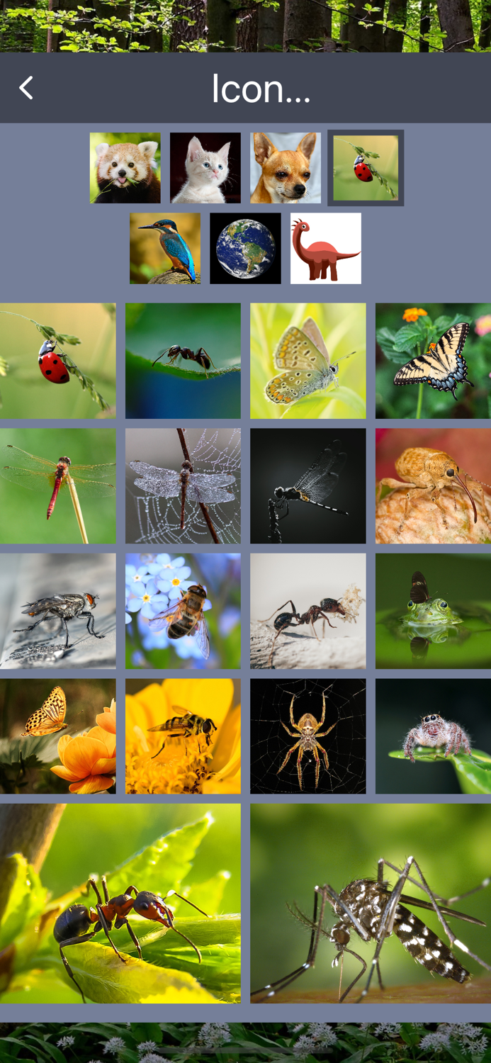 Timer for kids and teachers