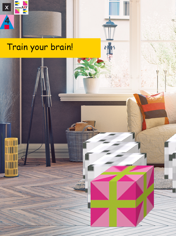 memARy 3D Matching Pairs