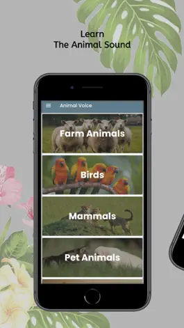 Game screenshot Animal Birds Noises apk