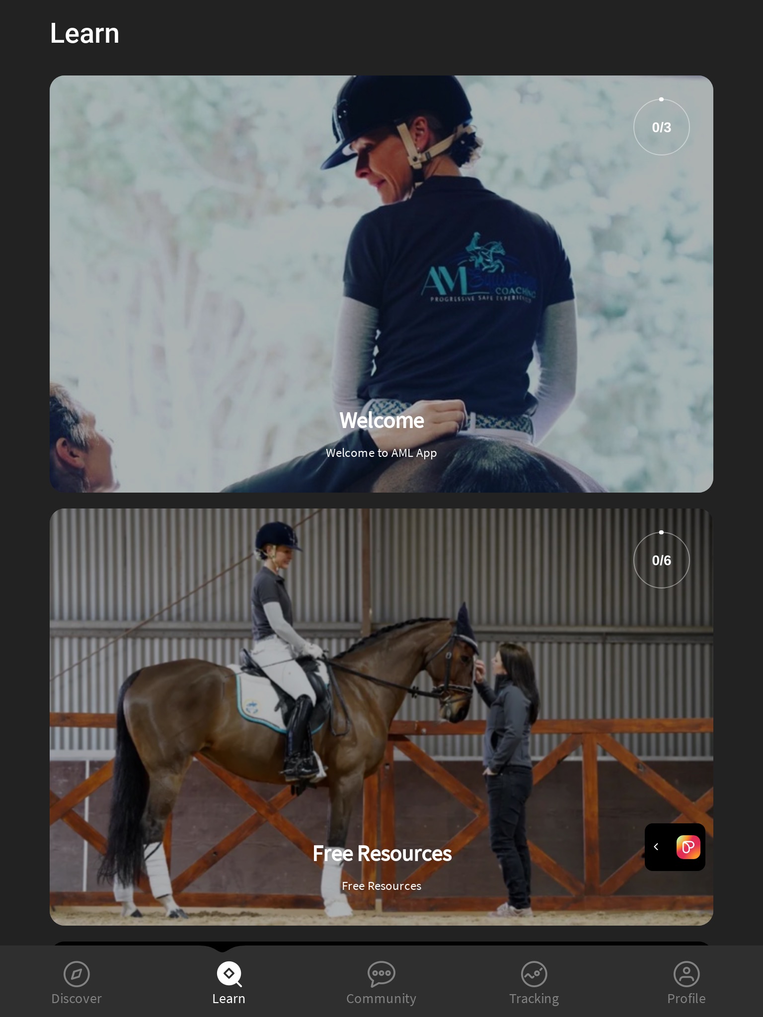 AML Horse & Rider Training screenshot 2