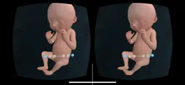 Game screenshot VR Fetus Home Player hack