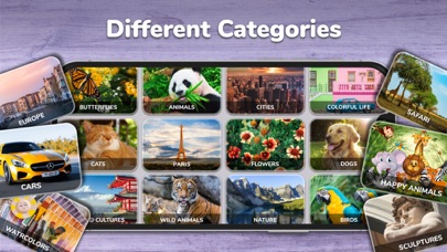 Jigsaw Puzzles Classic Games Screenshot