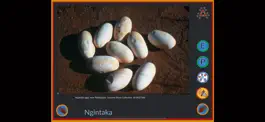 Game screenshot Aṟa Winki hack