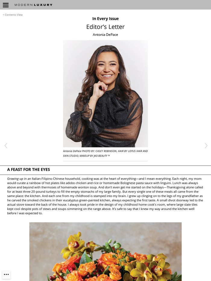 Modern Luxury Interiors Boston