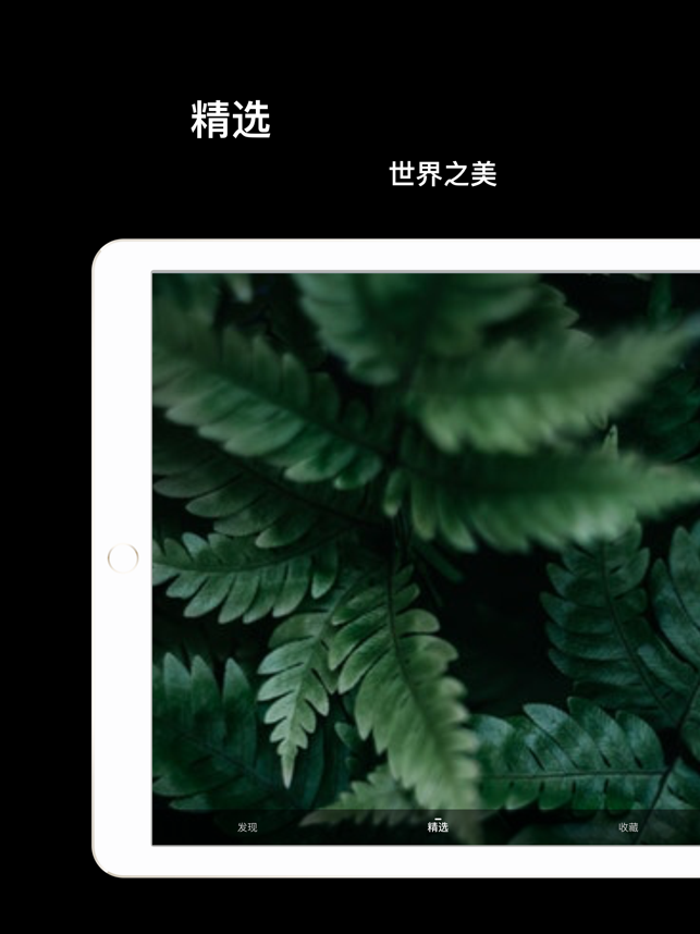 ‎Facula Screenshot
