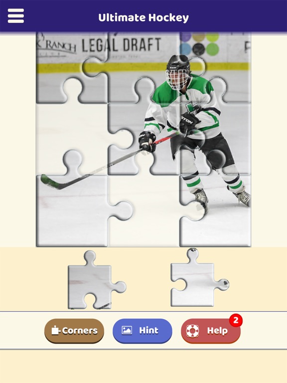 Ultimate Hockey Puzzle