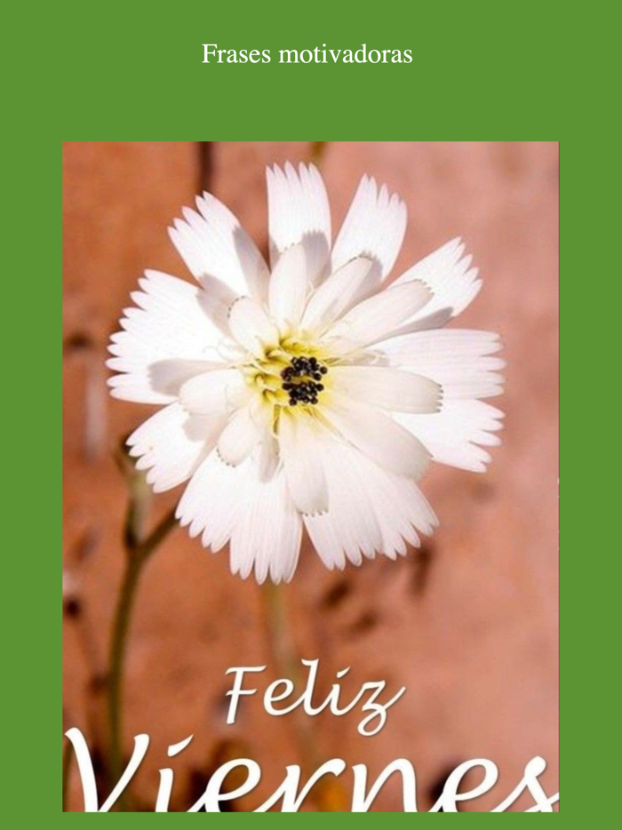 Imágenes de Saludos Diarios