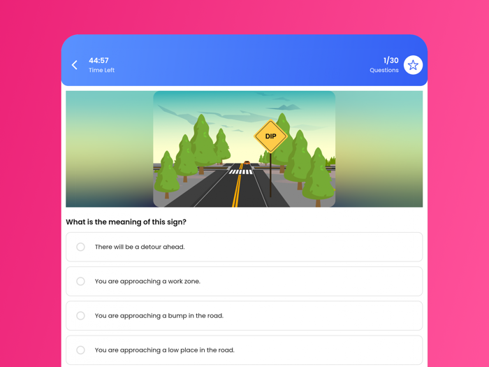 Texas DMV Driver License 2022