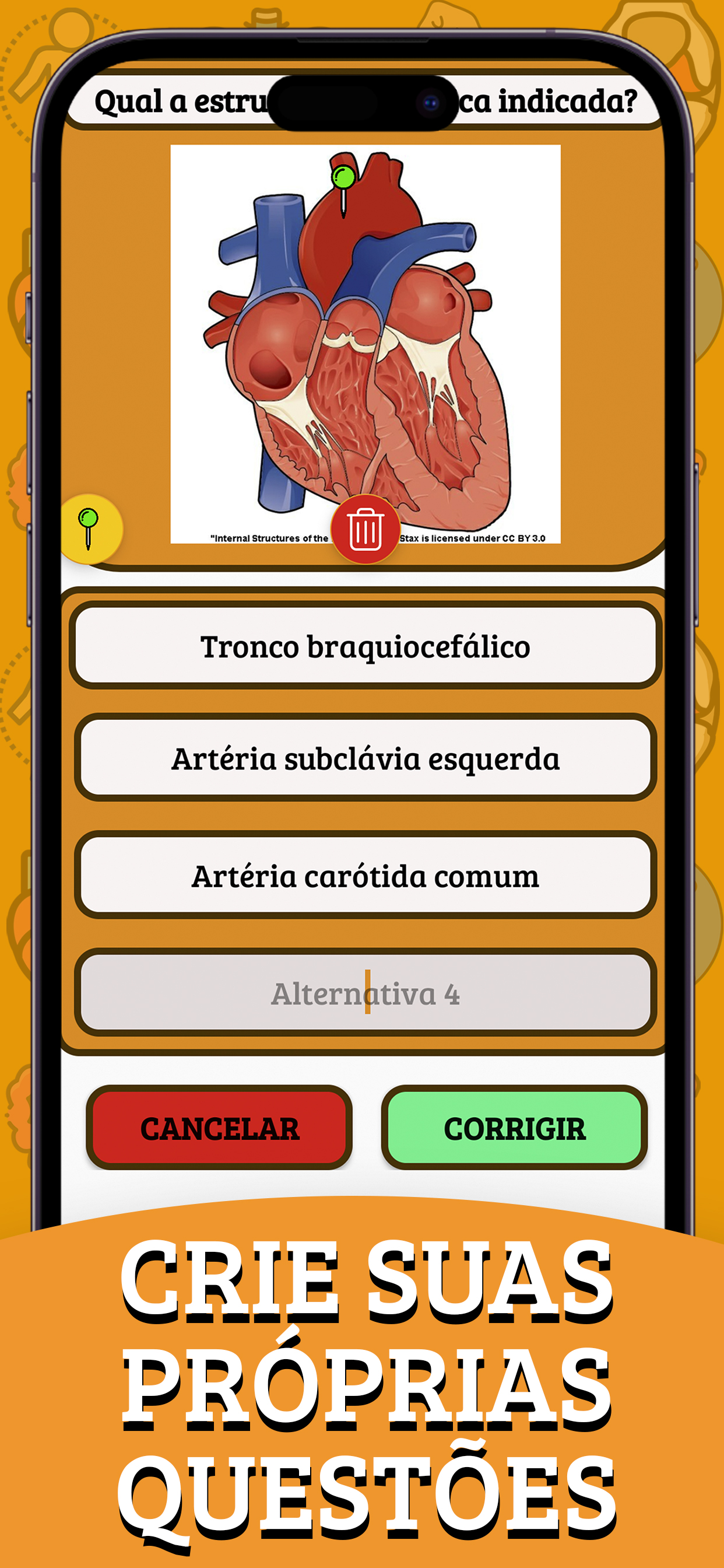 Anatomania - Quiz de Anatomia