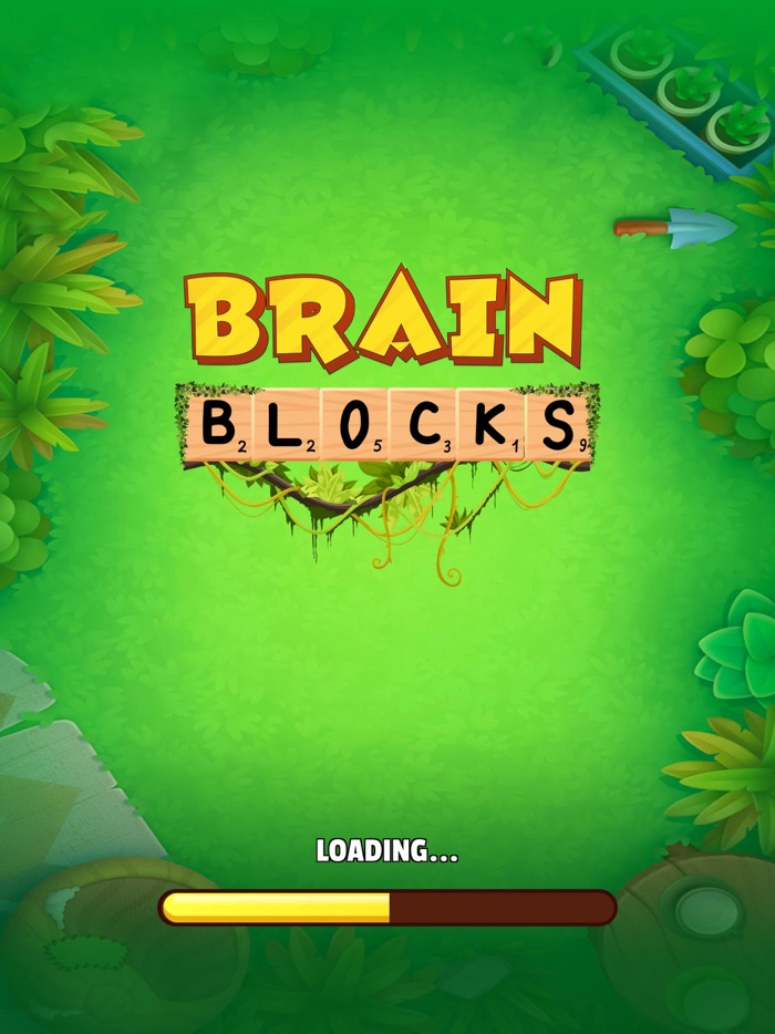 Brain Blocks Block Blast Game