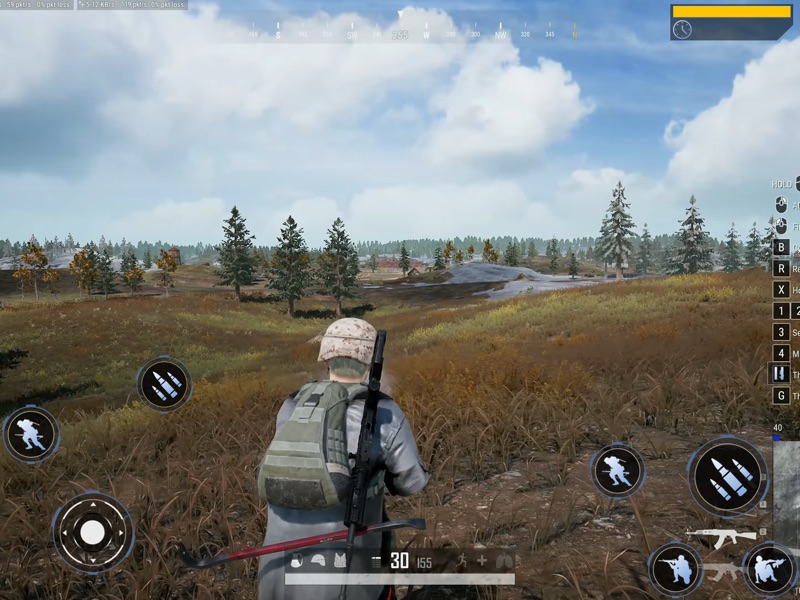 Battle Royale Shooting Games screenshot 6