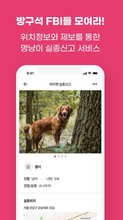 KIKITOKI - 키키토키 screenshot-3