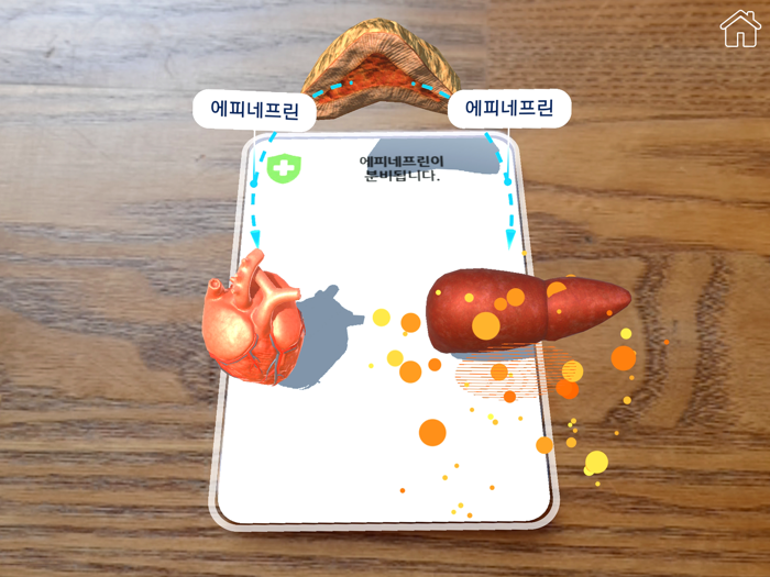 AR 항상성 실험실