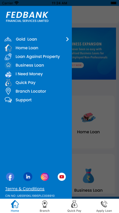 Fedfina Loans Screenshot