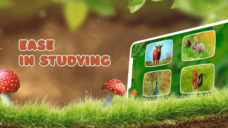 Learning animals and sounds screenshot-4