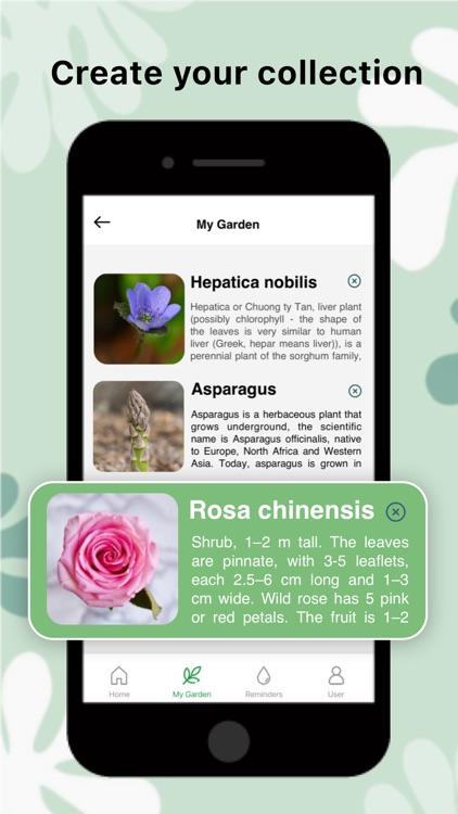 Plant Care And Identification screenshot-4