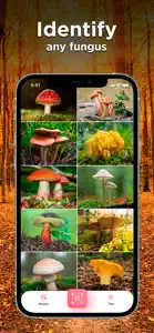 Mushroom ID: Fungus Identifier screenshot #2 for iPhone