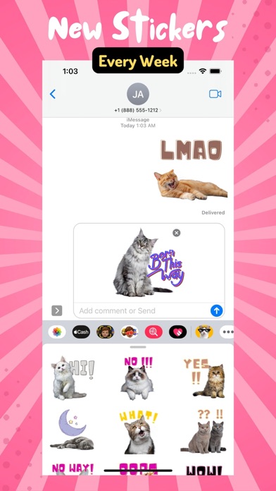 Very Necessary Cat Reactions Screenshot