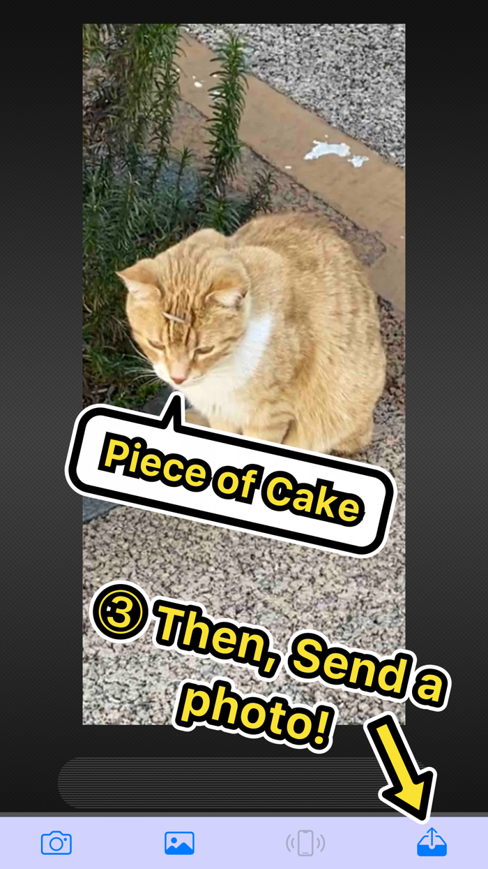 BlueTransLite - Easy sharing