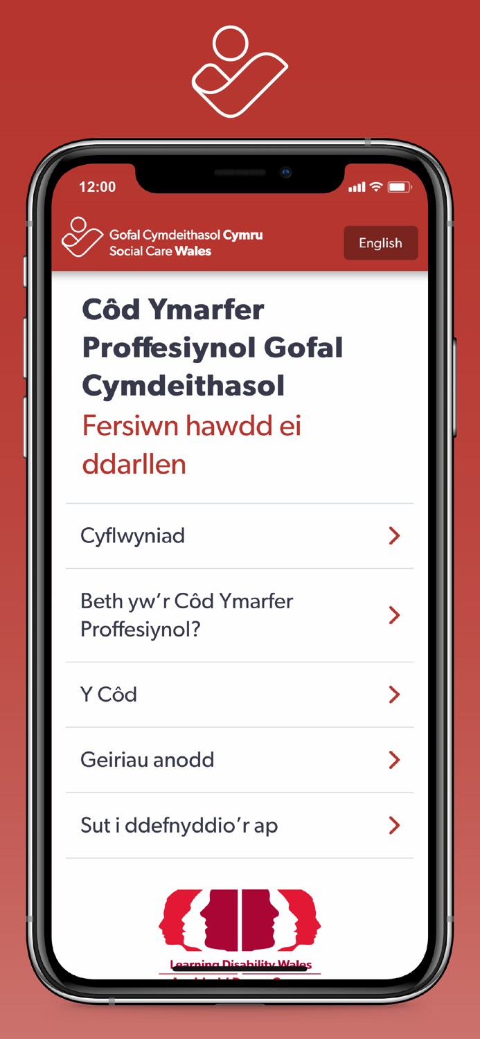 Easy Read Social Care Code