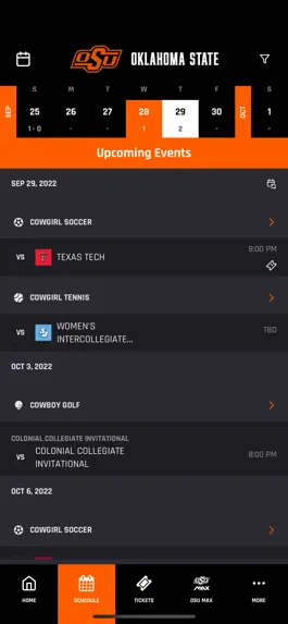 Game screenshot Go Pokes apk