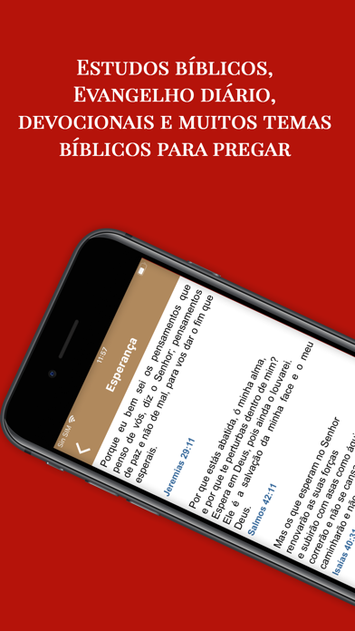 Temas Bíblicos para Pregar Screenshot