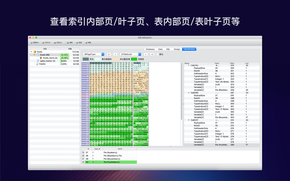 #10. SQLiteExplorer (macOS) By: 春浩 王