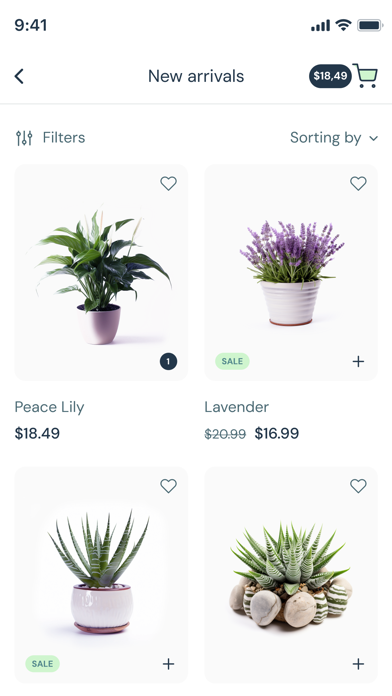 Everbloom - Plant Online Store Screenshot