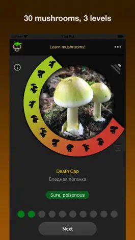 Game screenshot Learn Forest Mushrooms hack