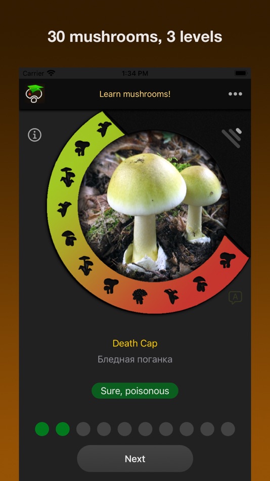 #3. Learn Forest Mushrooms (iOS) 由: Evgeny Turchaninov