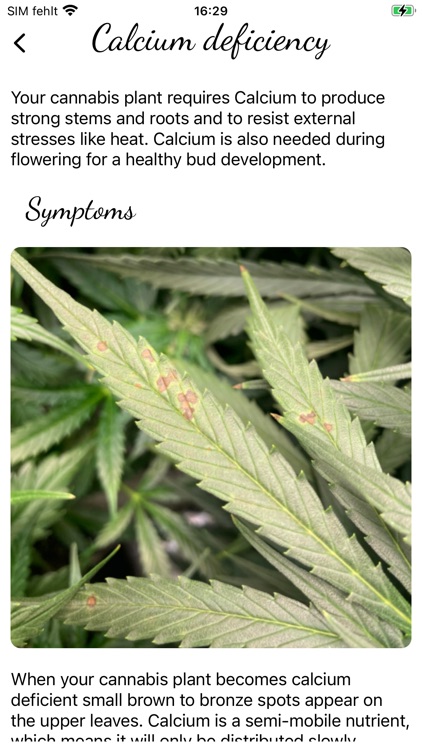 GrowCush screenshot-4