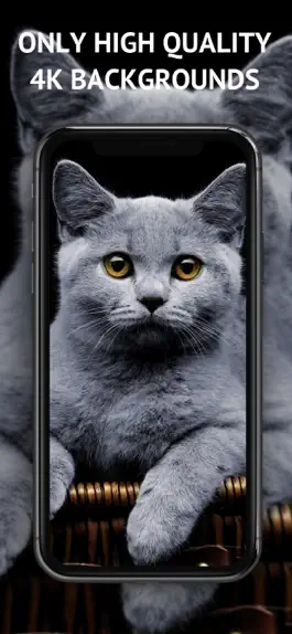 Game screenshot Best Wallpapers HD & Anime apk