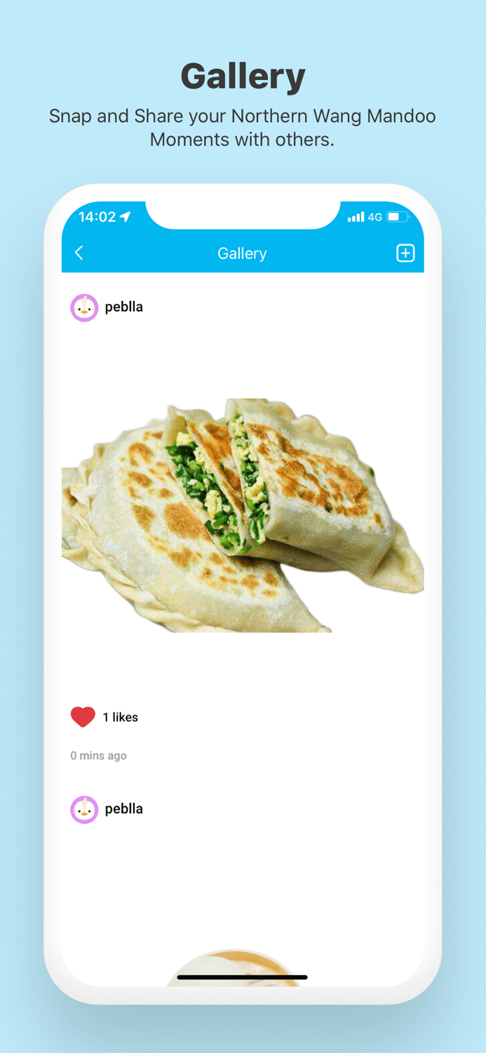 Northern Wang Mandoo