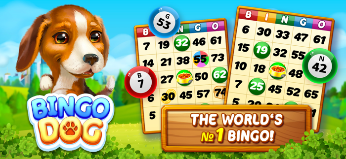 Bingo Dog - Fun Game 2022