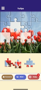 Tulip Love Puzzle screenshot #5 for iPhone