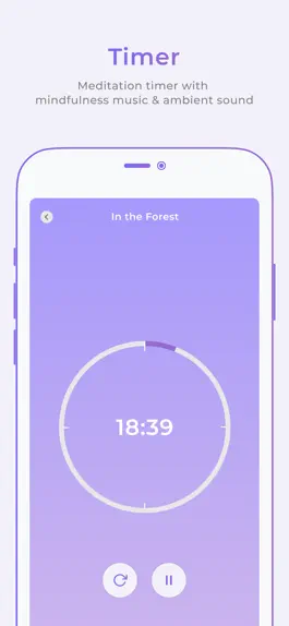 Game screenshot Zenify - Meditation Timer hack