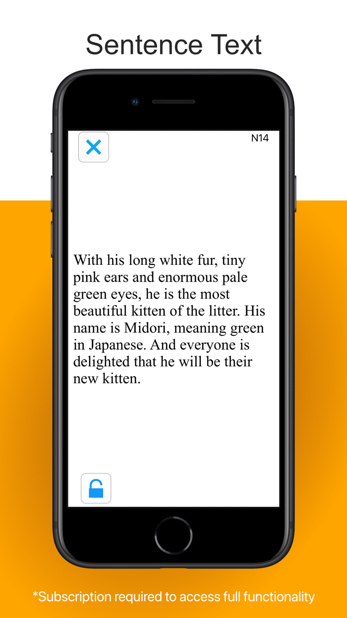 Kay iSight Test Professional