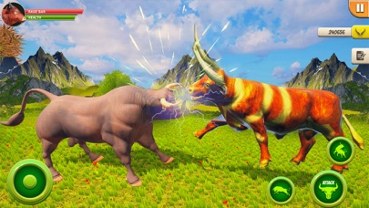 Wildlife Bull Animal Simulator Screenshot