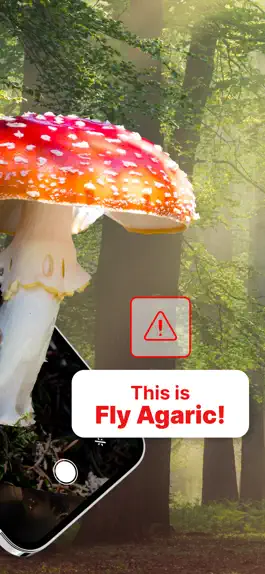 Game screenshot Mushroom Identification! apk
