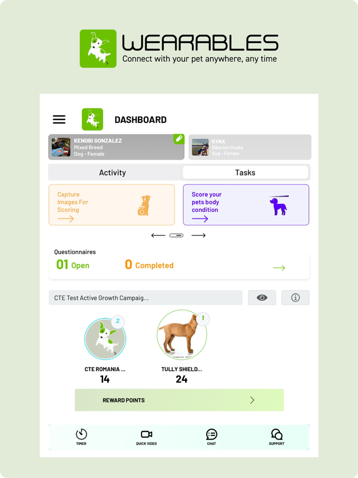Wearables Activity Generation