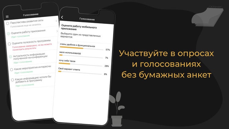 Байкальский риск-форум (BRIF) screenshot-3