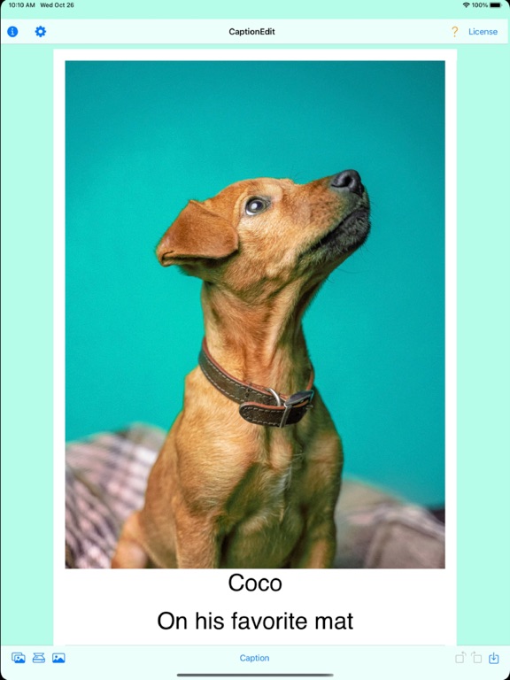 CaptionEdit iPad screenshot 3 - Photo & Video app