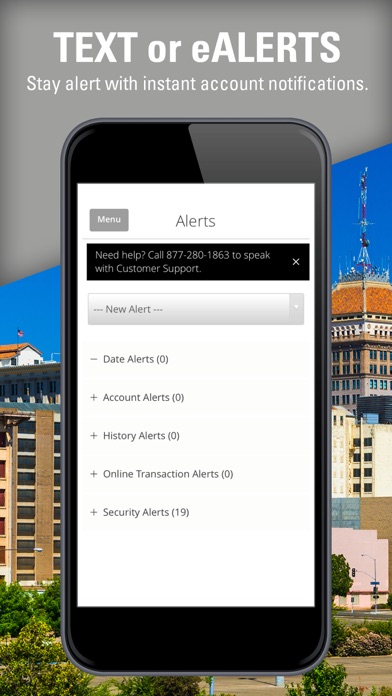 Premier Valley Bank Screenshot