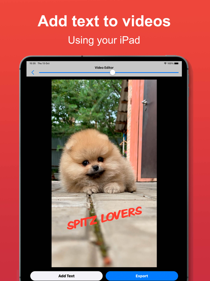 Video Captions - Text on video