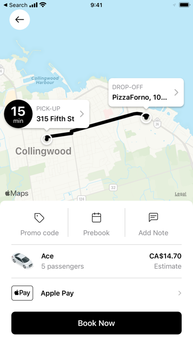 Ace Cabs. Screenshot