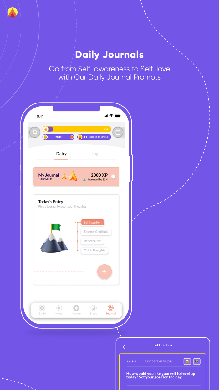 Level Mind Sleep Journal Body
