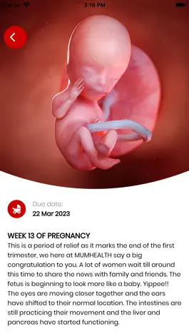 Game screenshot My Pregnancy Tracker apk